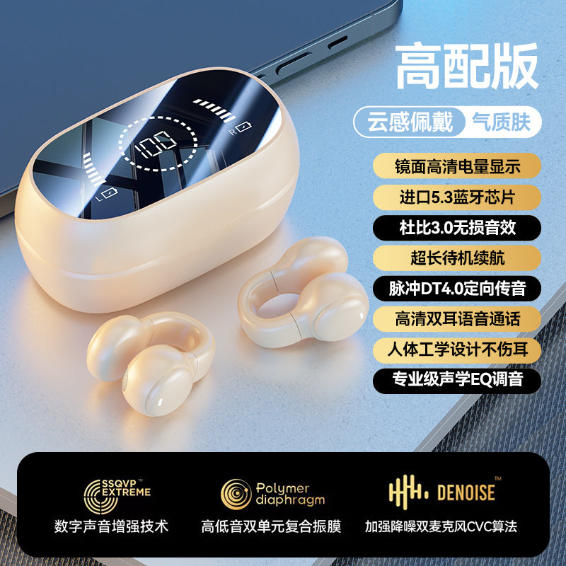 Bluetooth Earphones